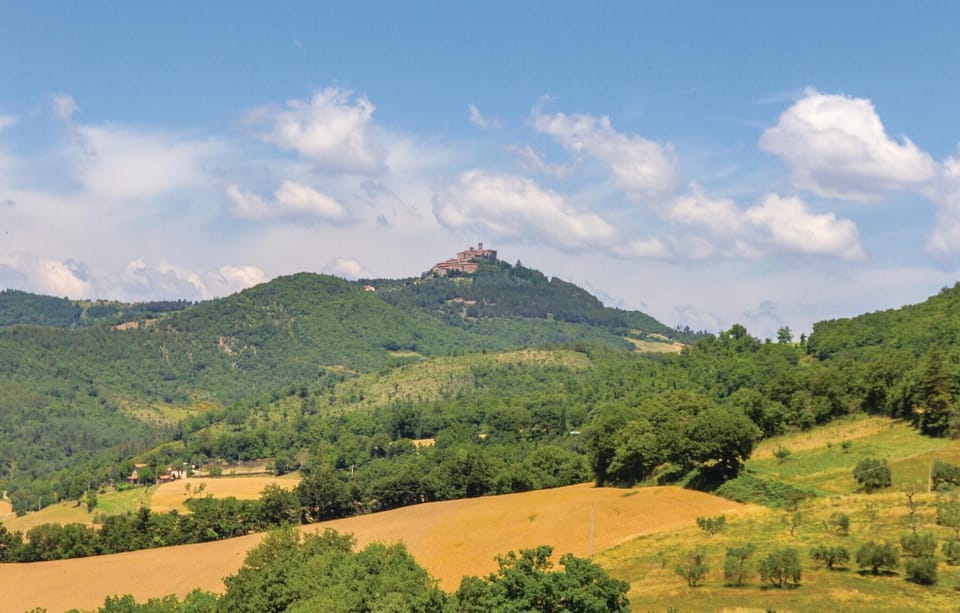area
