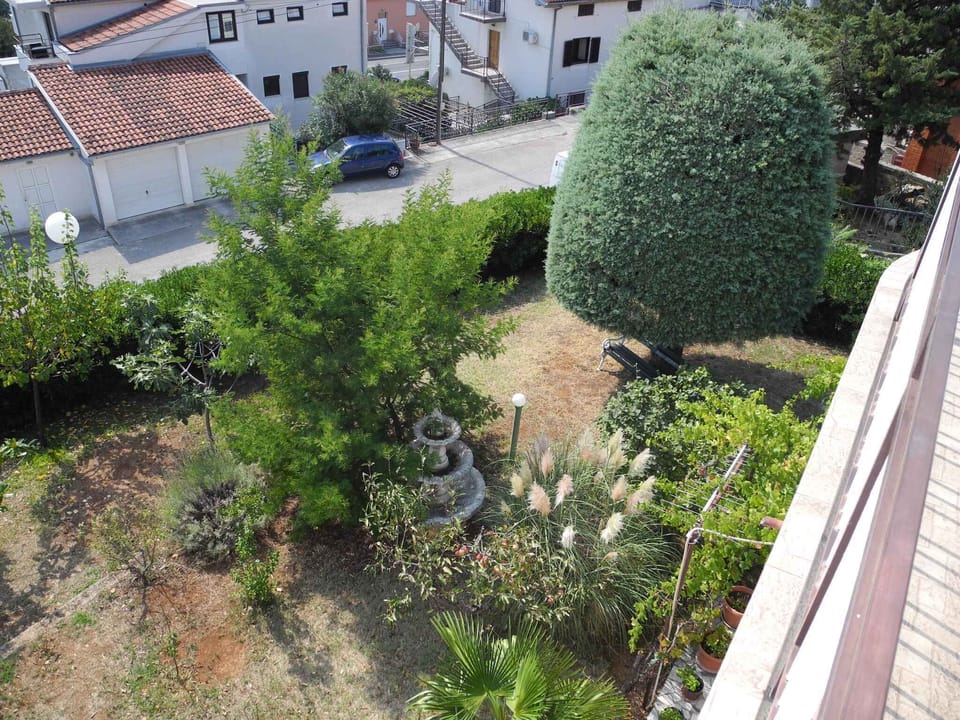 external view