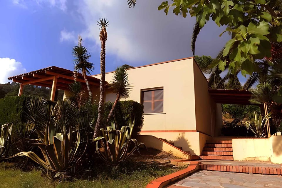 external view