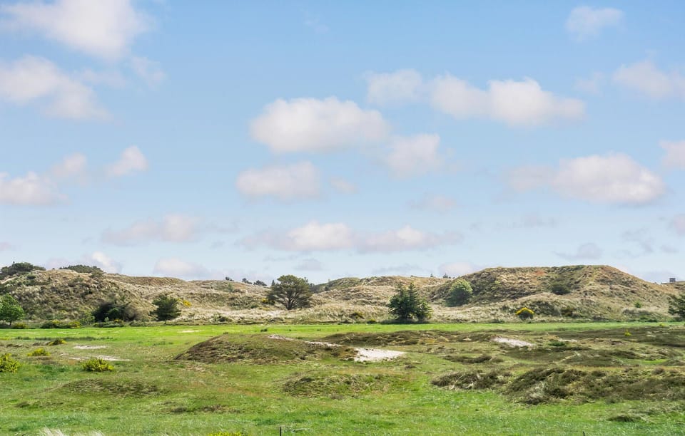 area