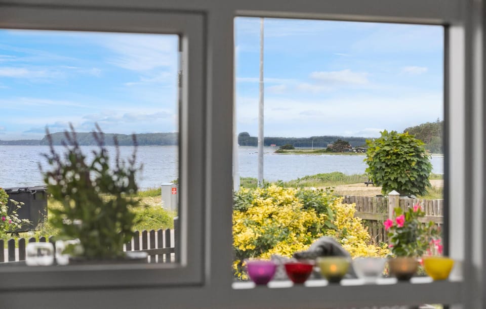 view-from-room