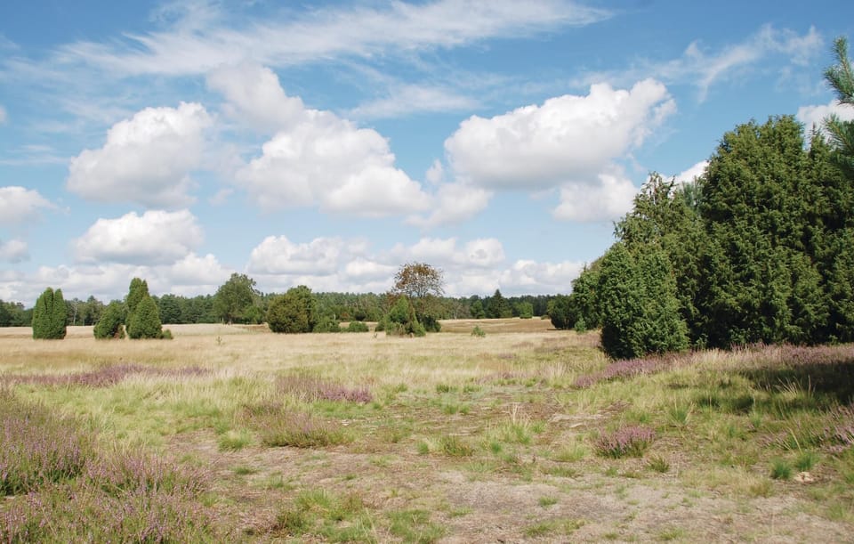 area