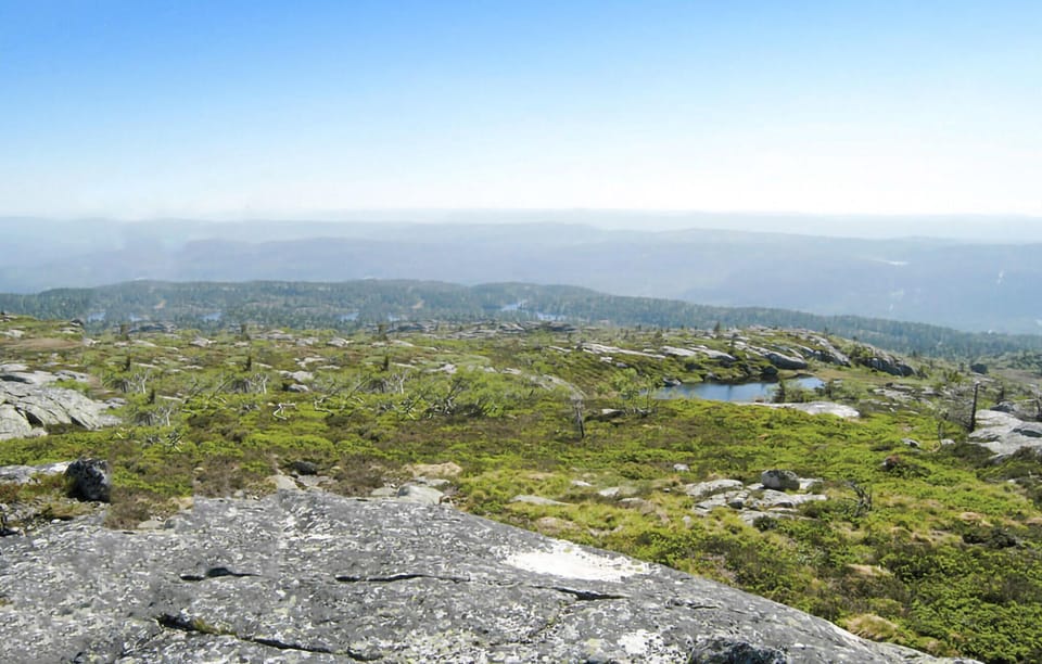 area