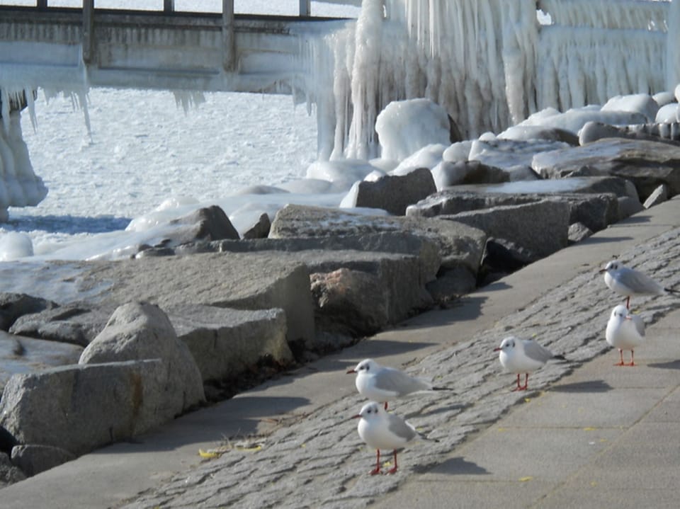 Miscellaneous