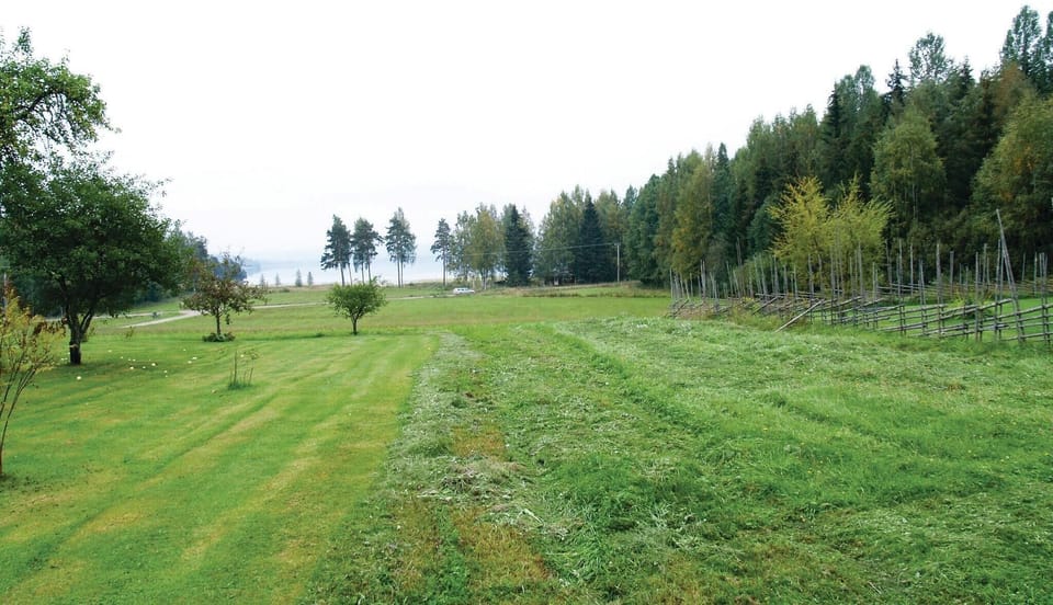 area