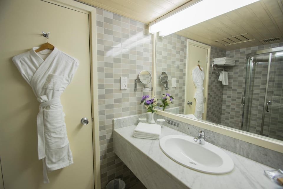 Combined shower/tub, free toiletries, hair dryer, slippers