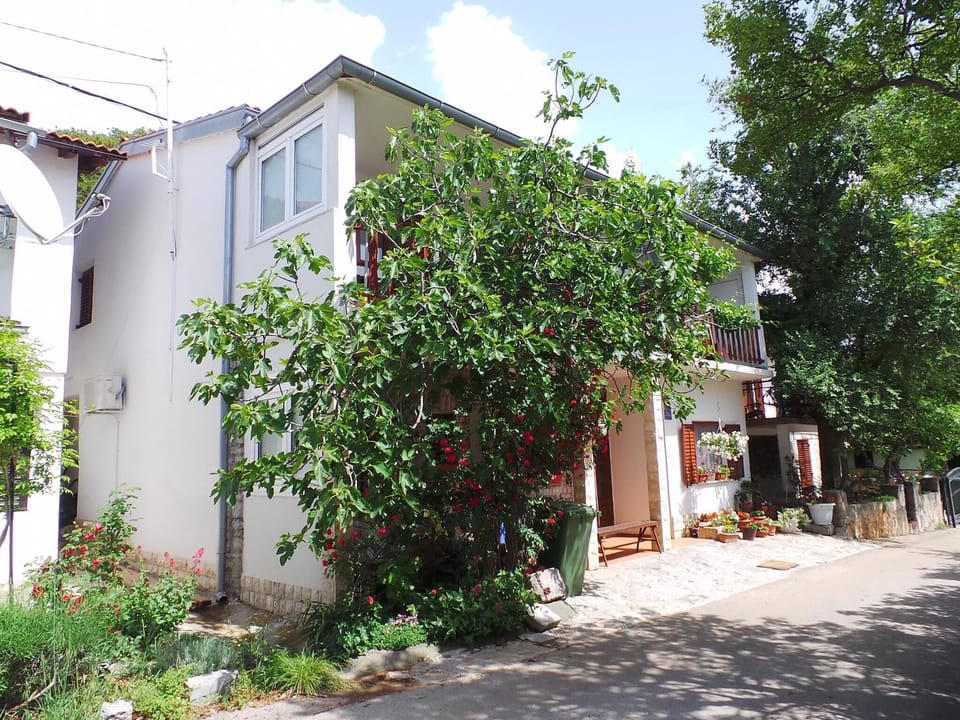 external view