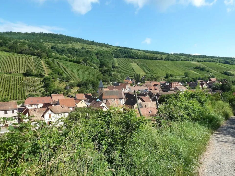 City view
