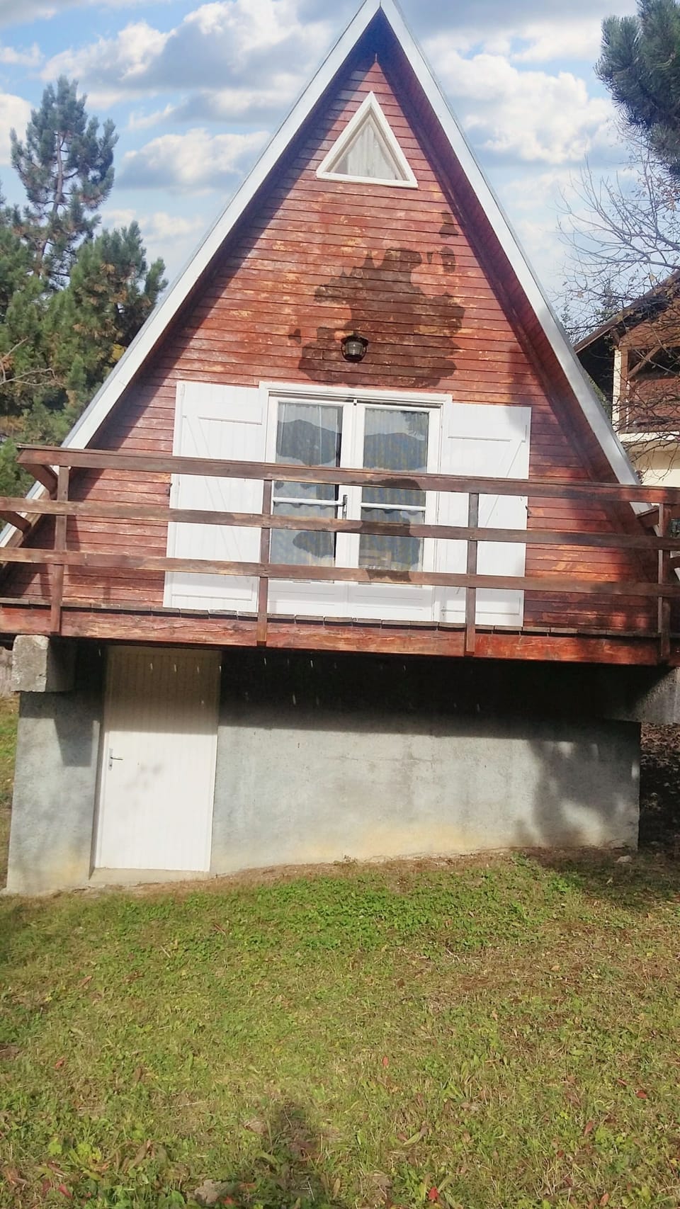 Back view