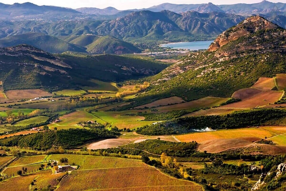 Patrimonio and its vineyards 