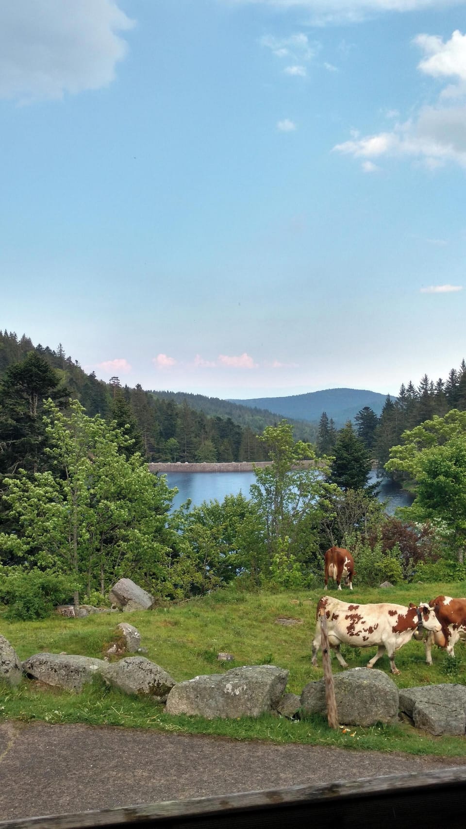 Lake view