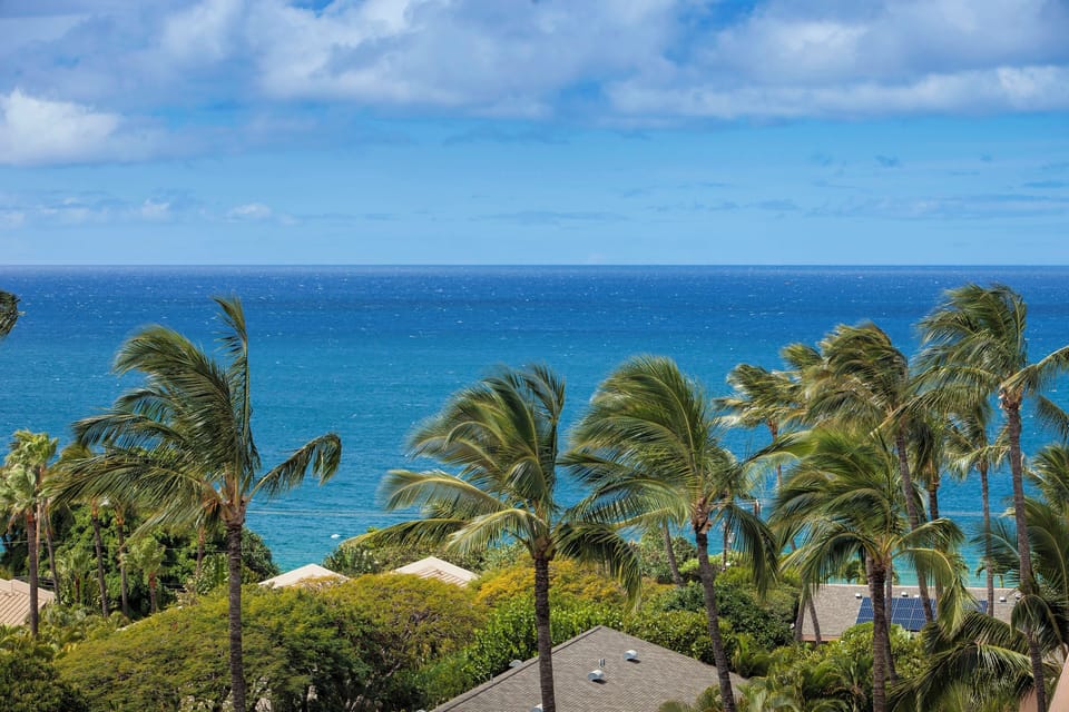 This property offers stunning views of the surrounding tropical landscape with swaying palms and the sparkling turquoise ocean stretching to the horizon.