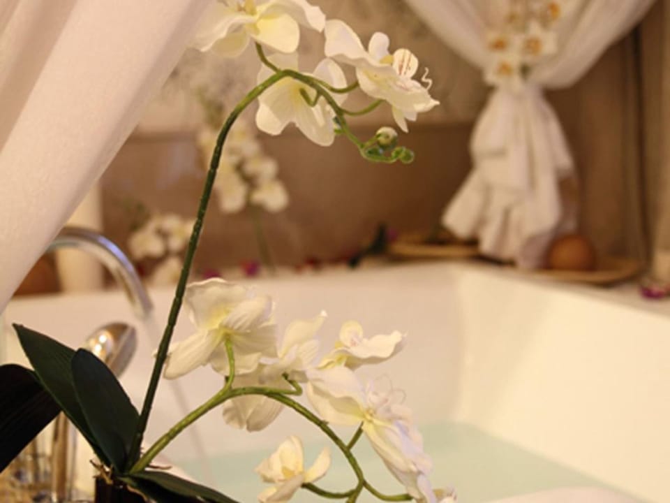 Rainfall showerhead, free toiletries, hair dryer, bathrobes