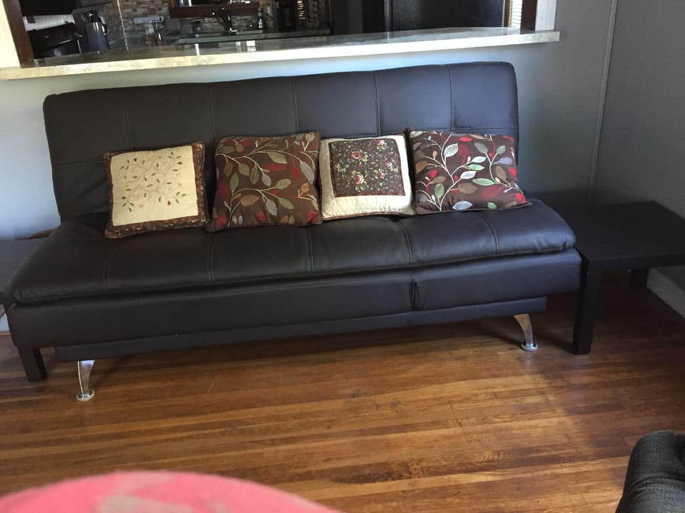 Futon in Living Room