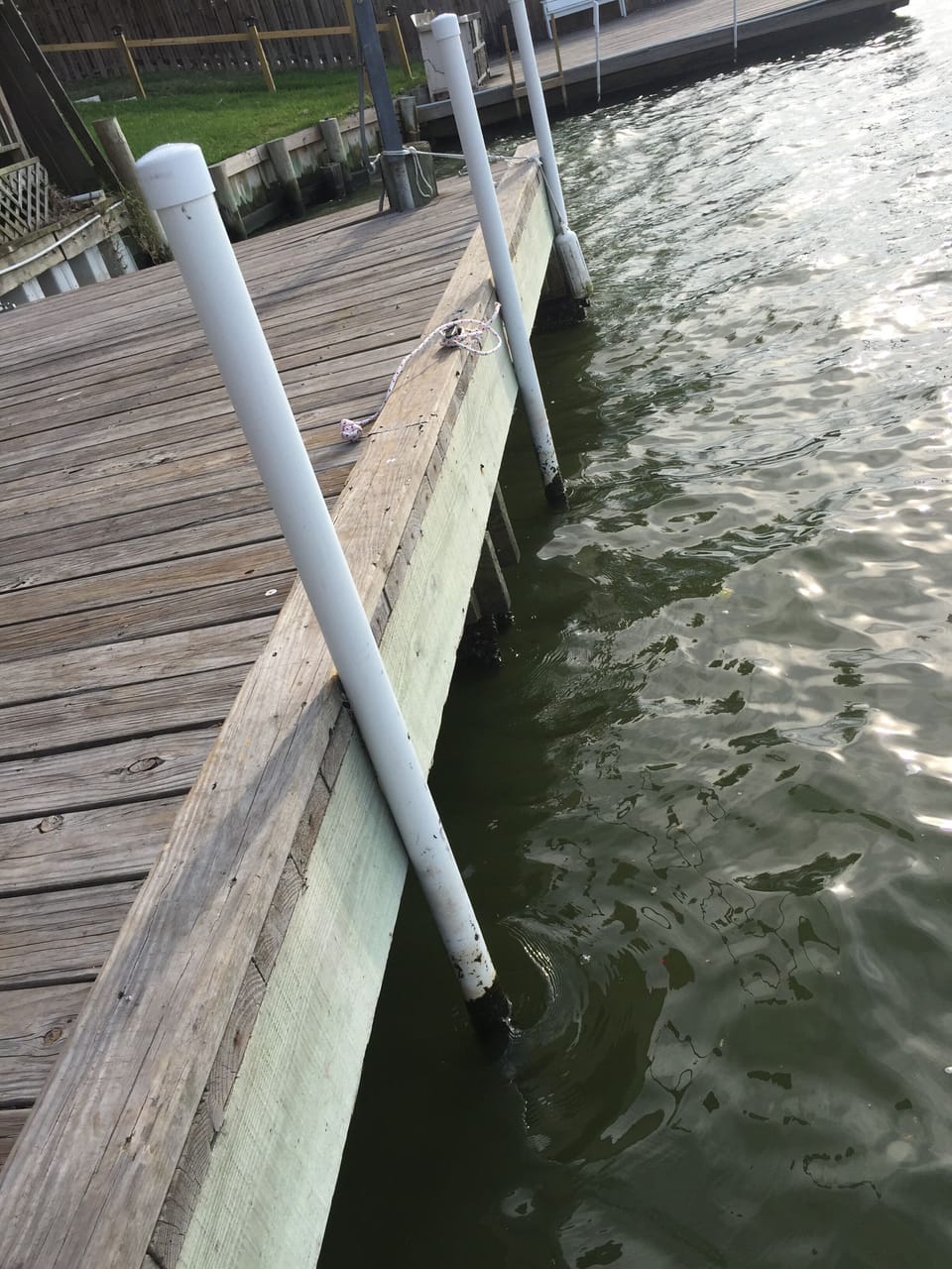 View of dock, PVC pipes sunk into riverbottom to prevent boats from hitting dock