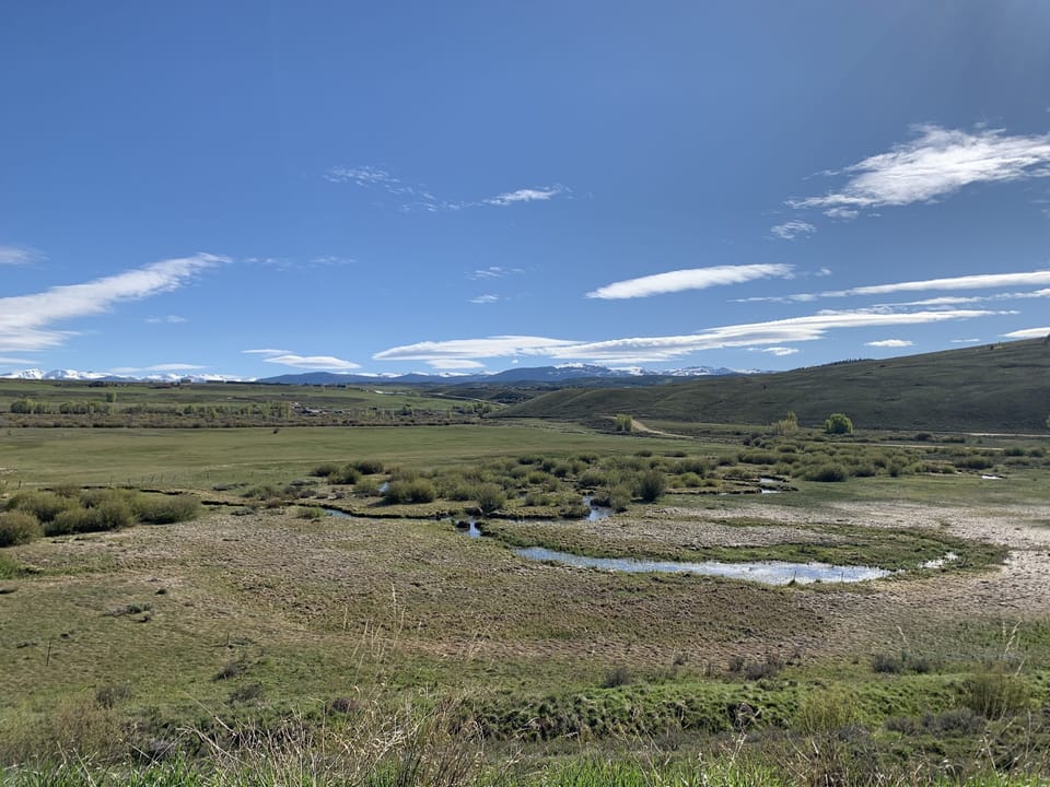 View from the back porch 