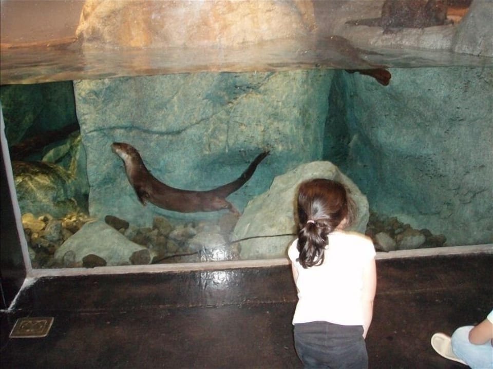 Explore the WILD Center- Tupper Lake