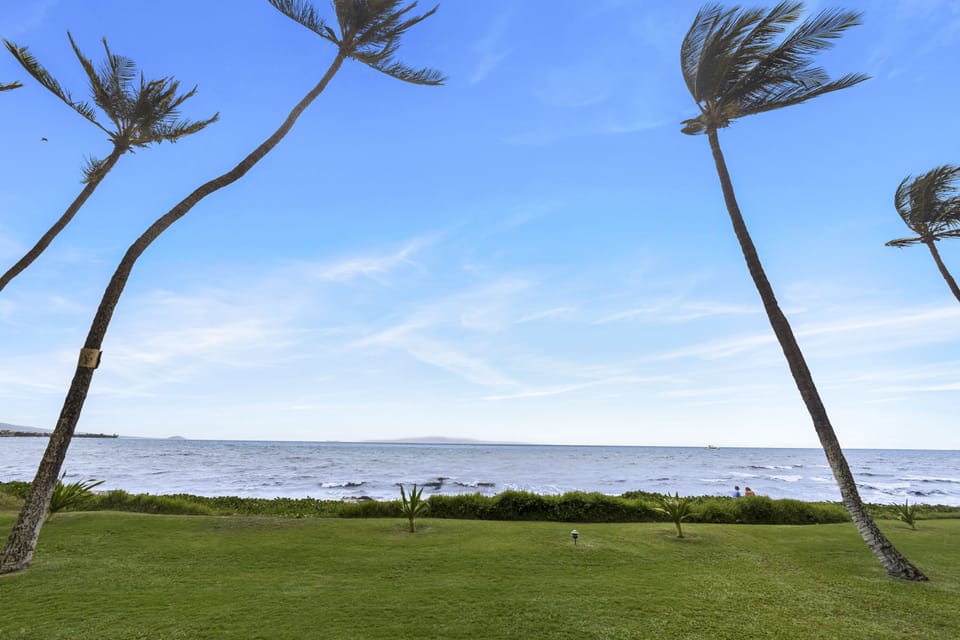 Expansive oceanfront lawn framed by swaying palms, with direct access to the coastal shoreline and tranquil sea views.