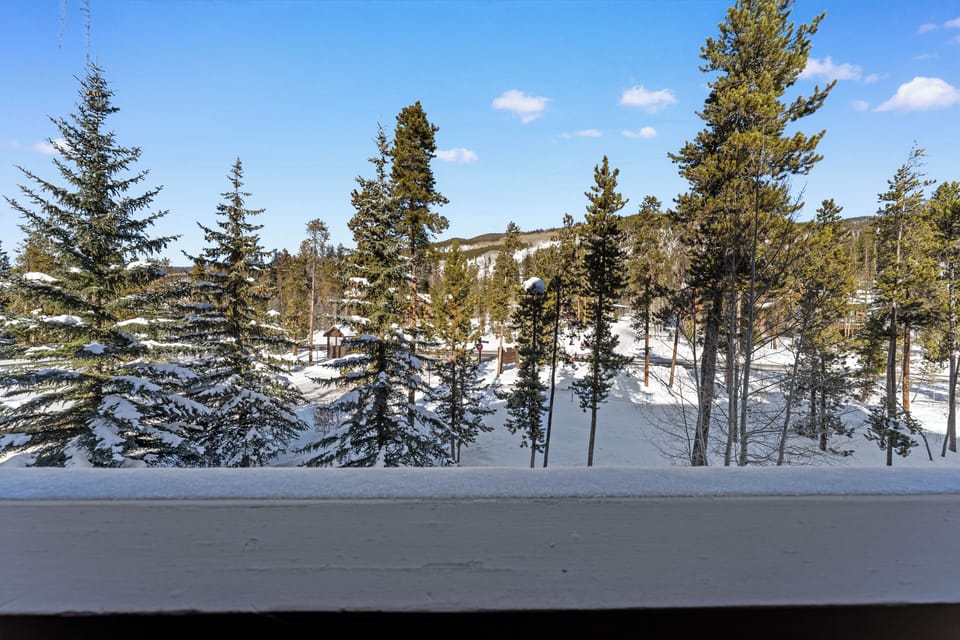 Snow-covered forest landscape with evergreen trees visible from the property during winter season.