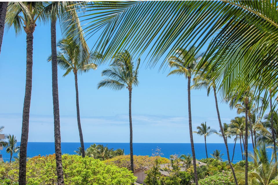 Palm trees frame stunning ocean views in this beautiful tropical location, perfect for a relaxing island getaway.