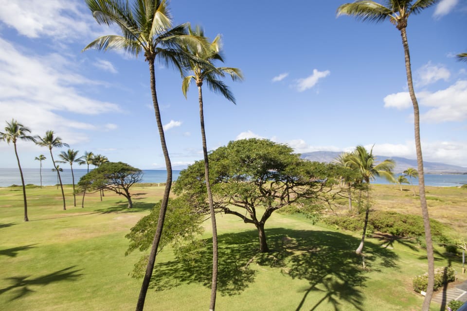 Kauhale Makai 411