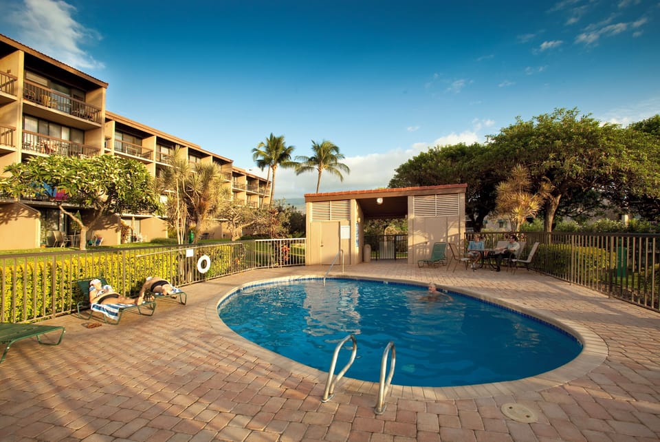 An inviting kidney-shaped pool offers relaxing swims surrounded by swaying palms, lush gardens, and tropical trees under endless blue skies.