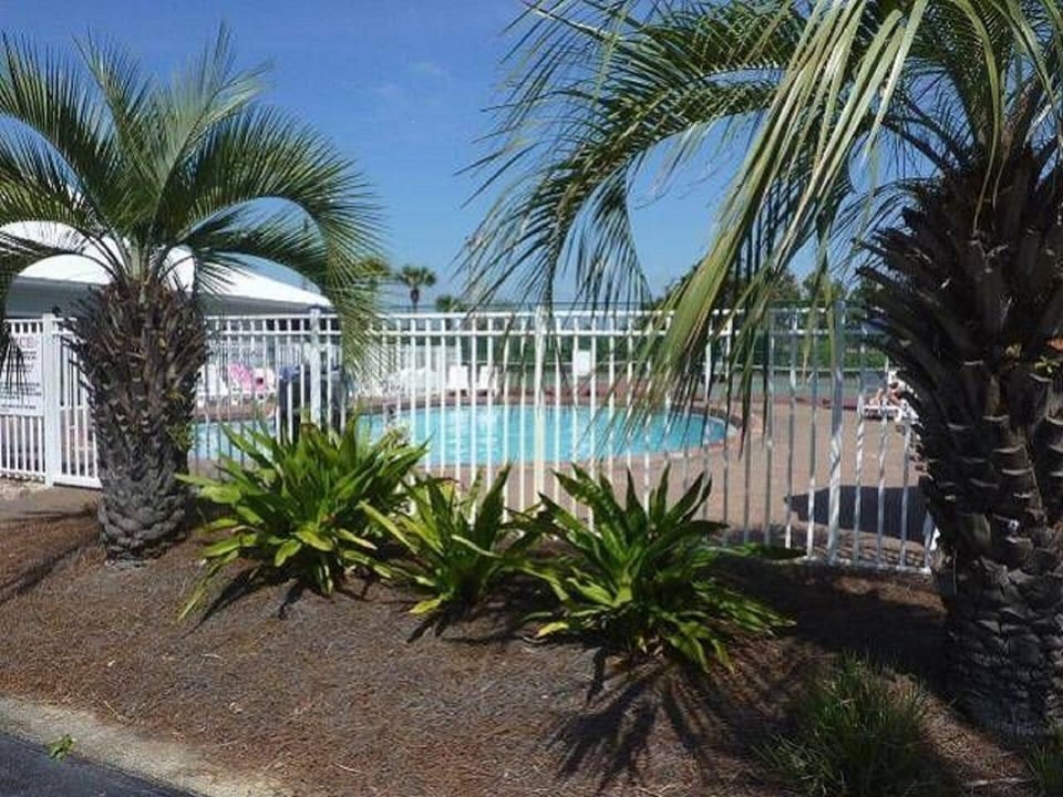 Our beautiful pool - 