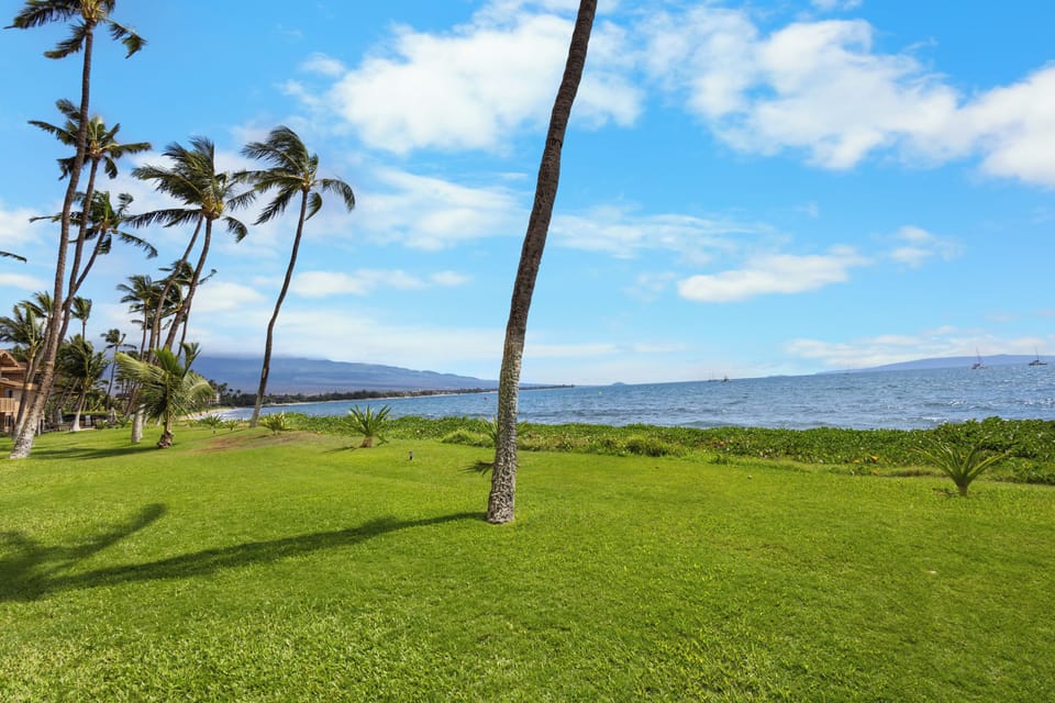 Oceanfront property features lush green lawns and swaying palms overlooking pristine blue waters and distant mountain vistas. A tropical paradise setting for an unforgettable island escape.