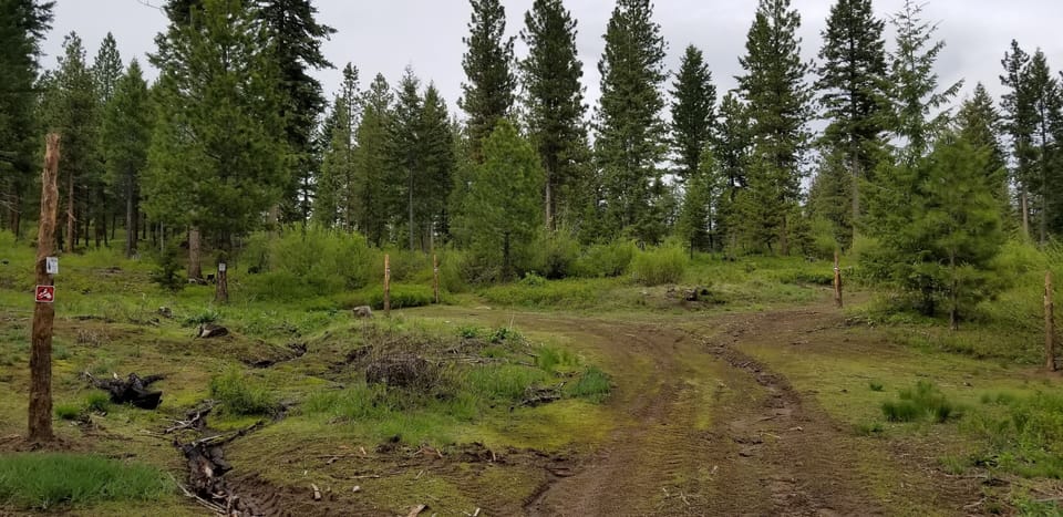 New Marked trails for mountain bikes