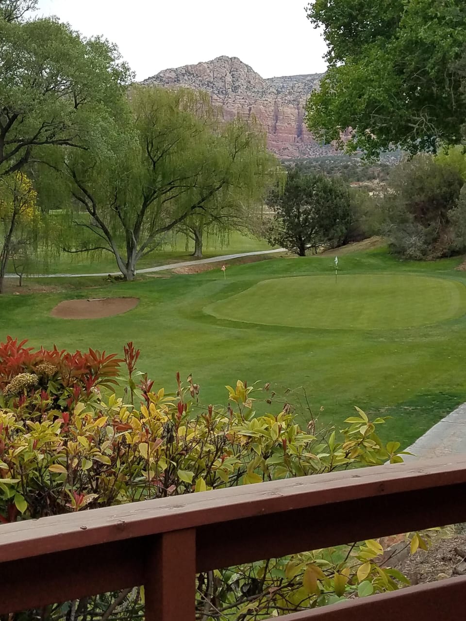 view off deck