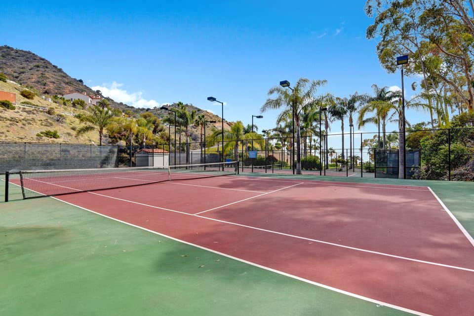 HAMILTON COVE TENNIS COURT CLOSE UP RS