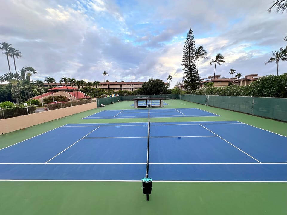 Pristine tennis courts surrounded by swaying palms and lush tropical landscaping, perfect for an energizing match in paradise.