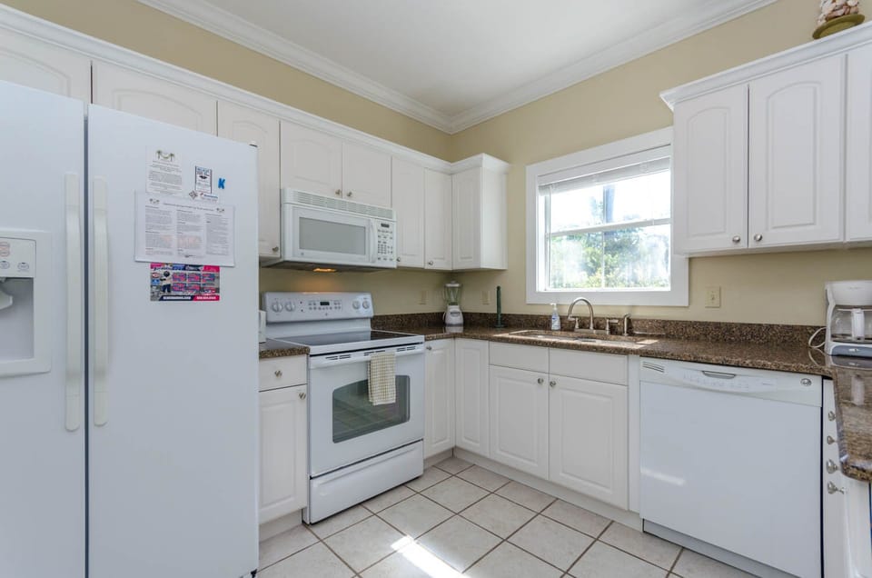 Purple Parrot 41C Kitchen
