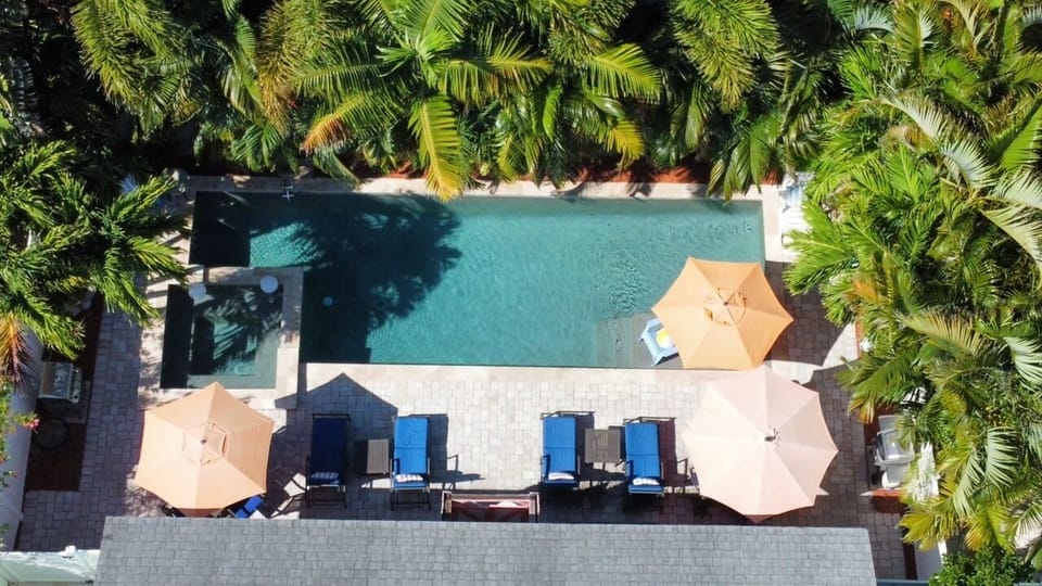 An osprey's view of the backyard oasis!