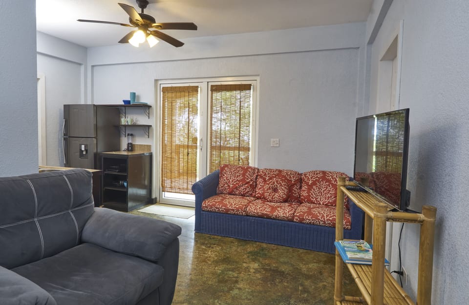 Living Area 1