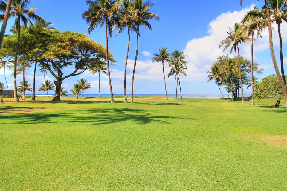Lush tropical grounds feature manicured lawns and swaying palms with serene ocean views, creating an idyllic island setting in the surrounding area.