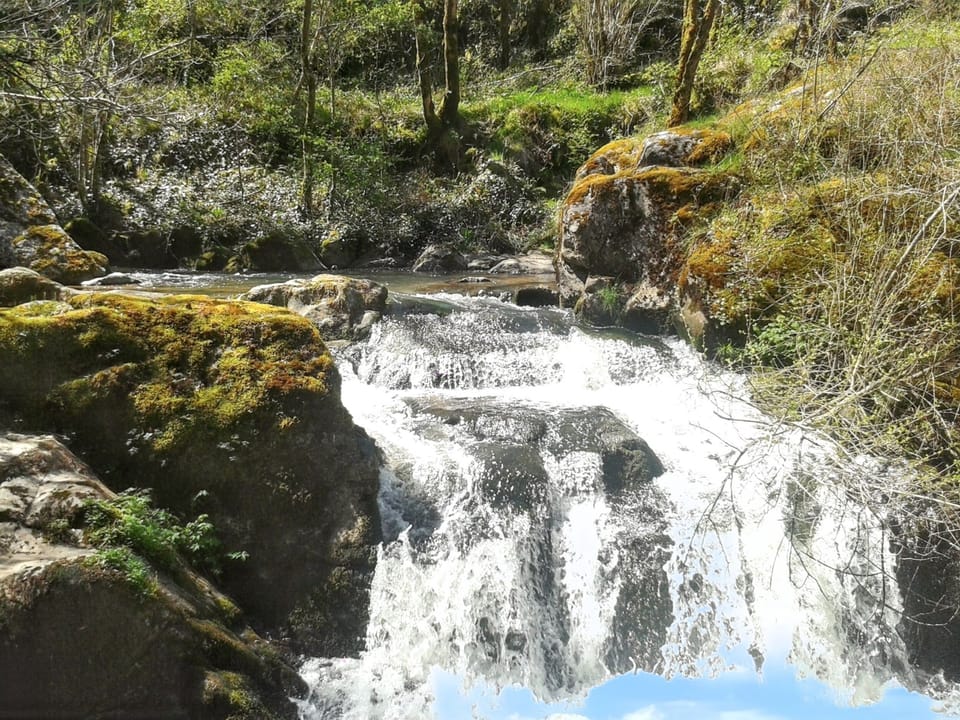 Surroundings