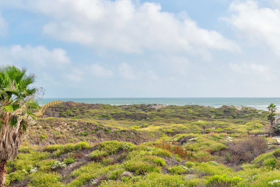 Coastal landscape with native vegetation and ocean views creating a serene natural setting near the property.