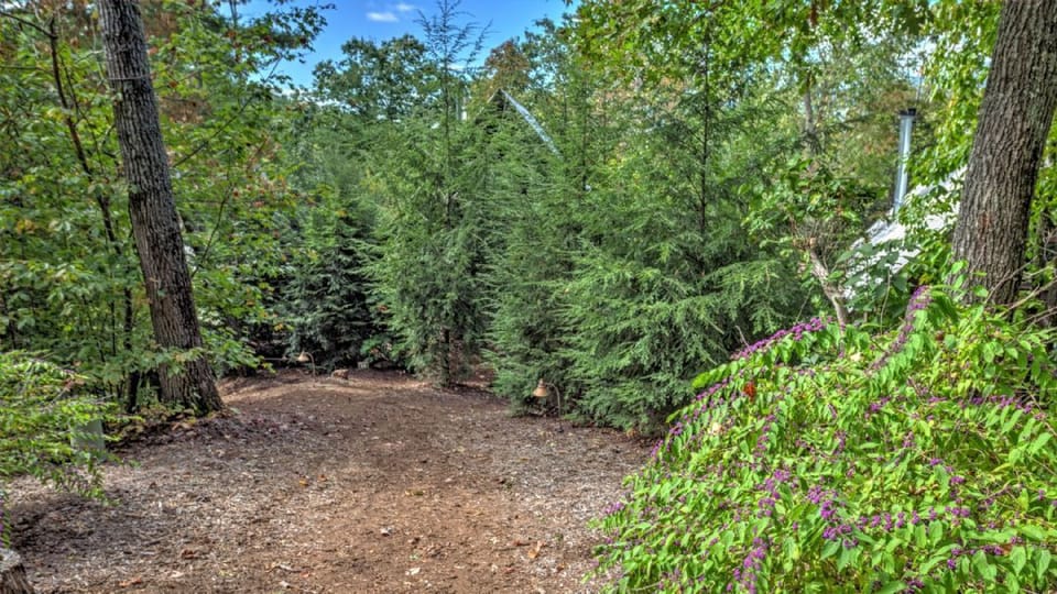 Short Walk to Cabins - Summer