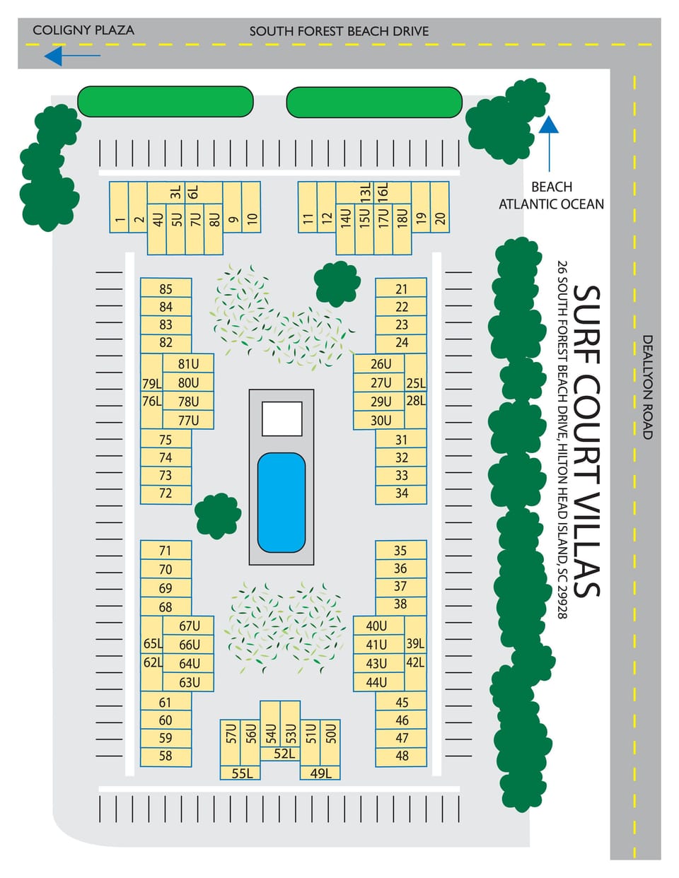 Surf Court
