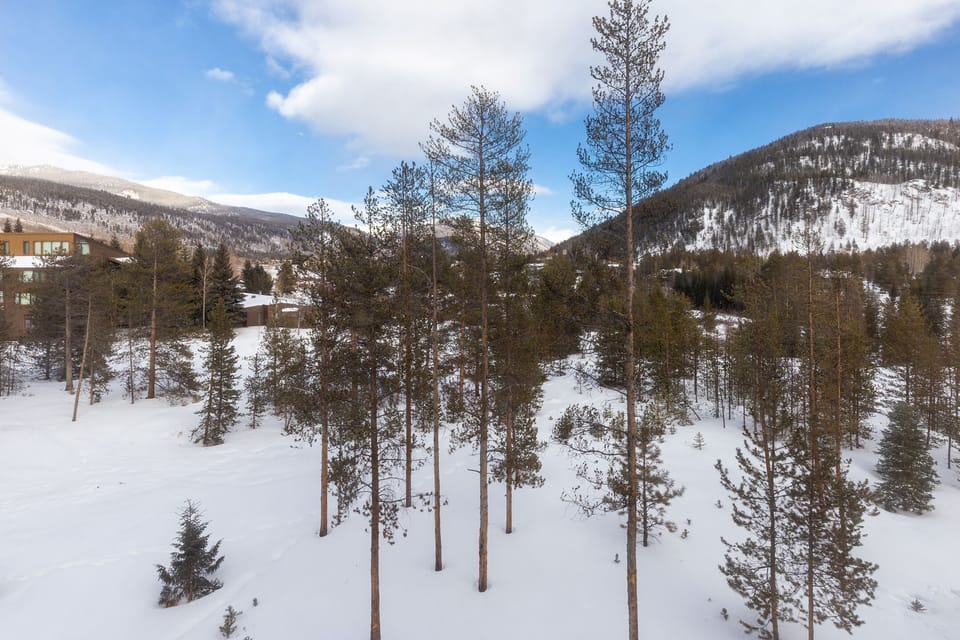 Winter mountain views from the sunroom.