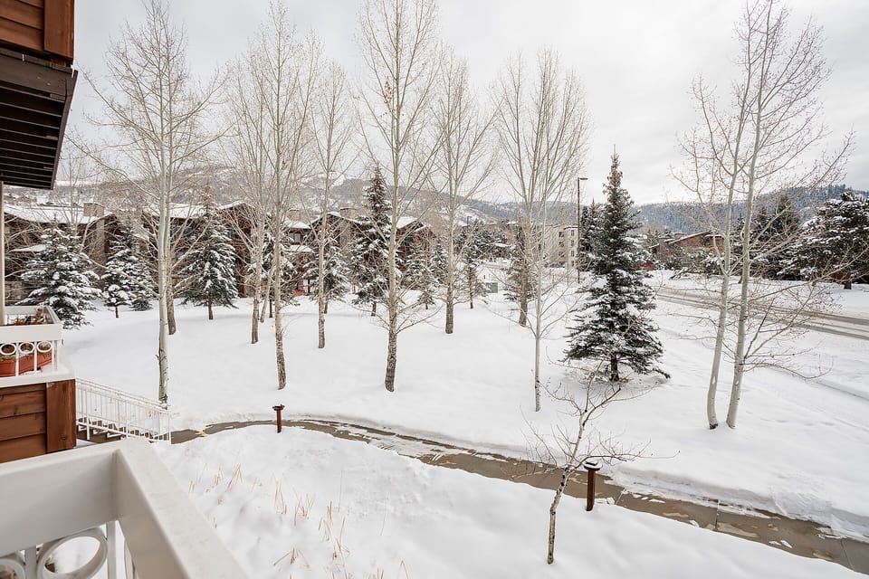 Winter wonderland view from property balcony overlooking snow-covered trees and peaceful residential area.