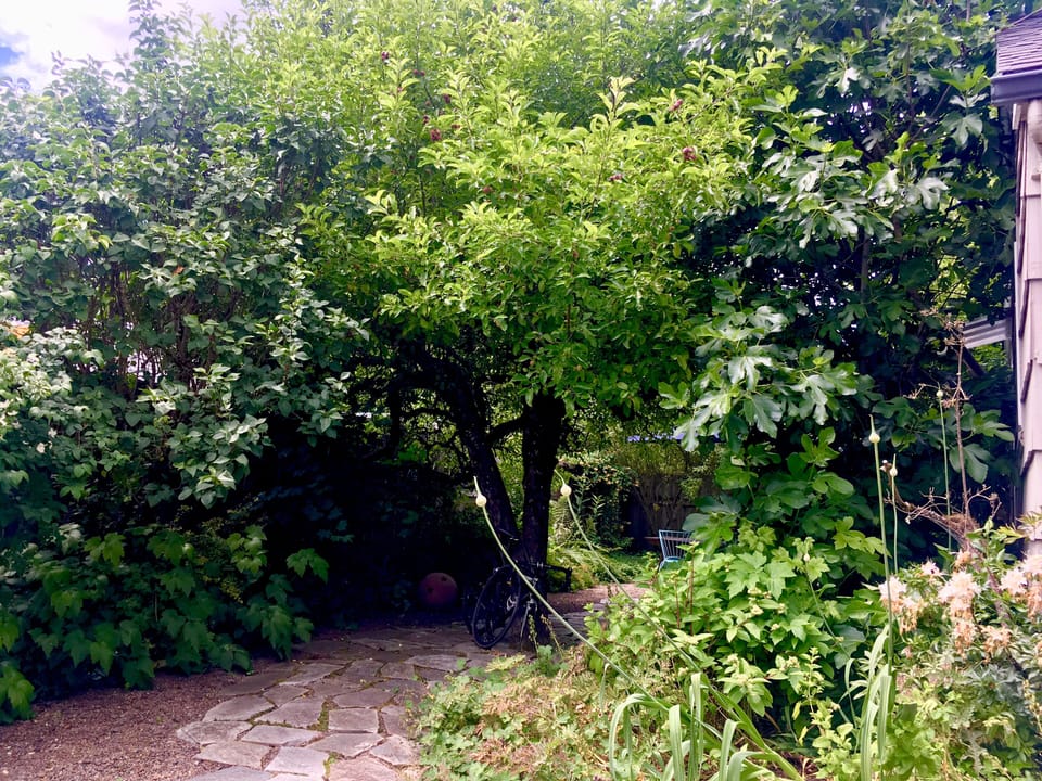 The Studio is set among a beautiful garden on the property. 