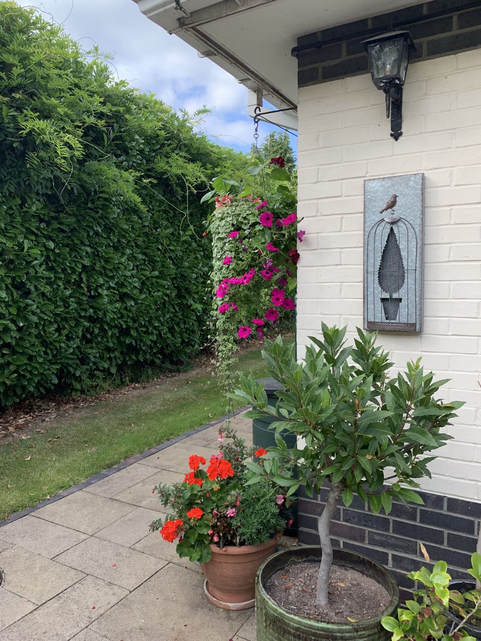 Chalk House garden