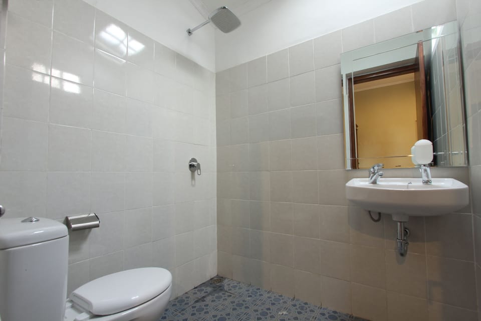 Deluxe Double or Twin Room | Bathroom | Shower, free toiletries, towels