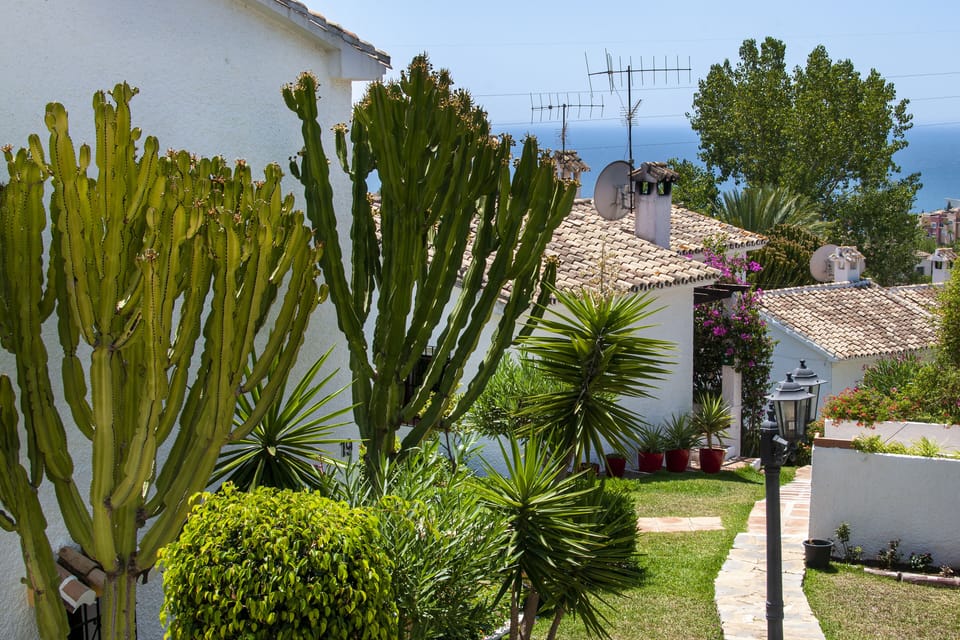 Mi Jardin, the walk to the pool