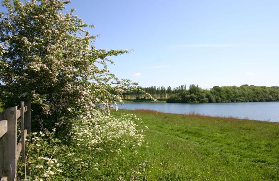 Bewl Water