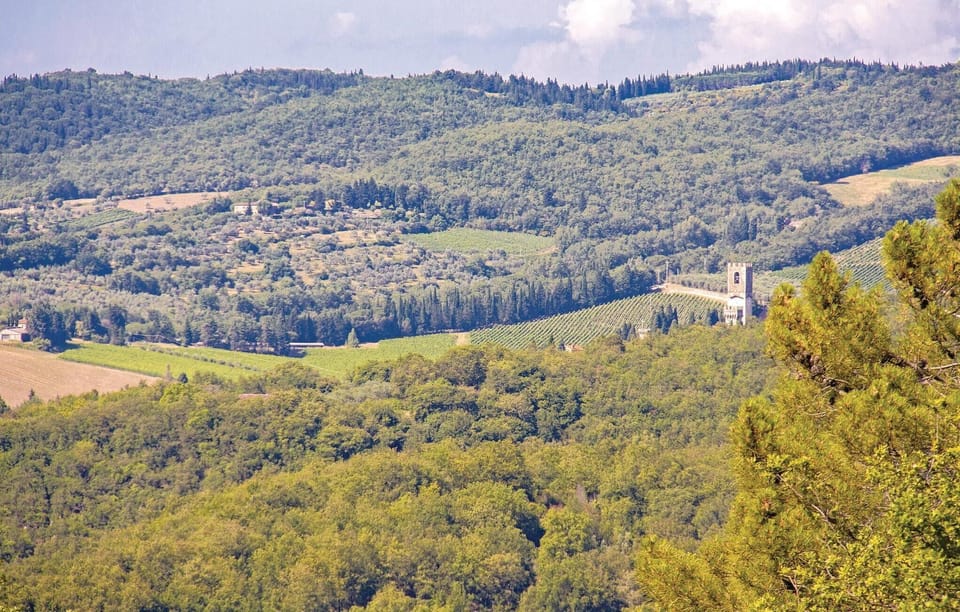 area