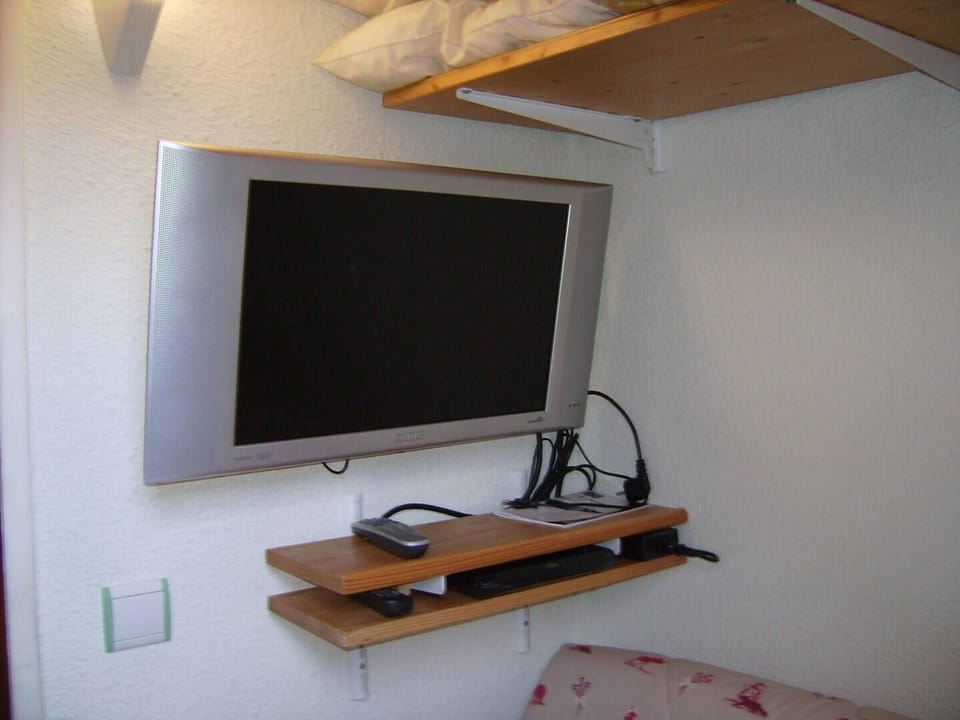 Television