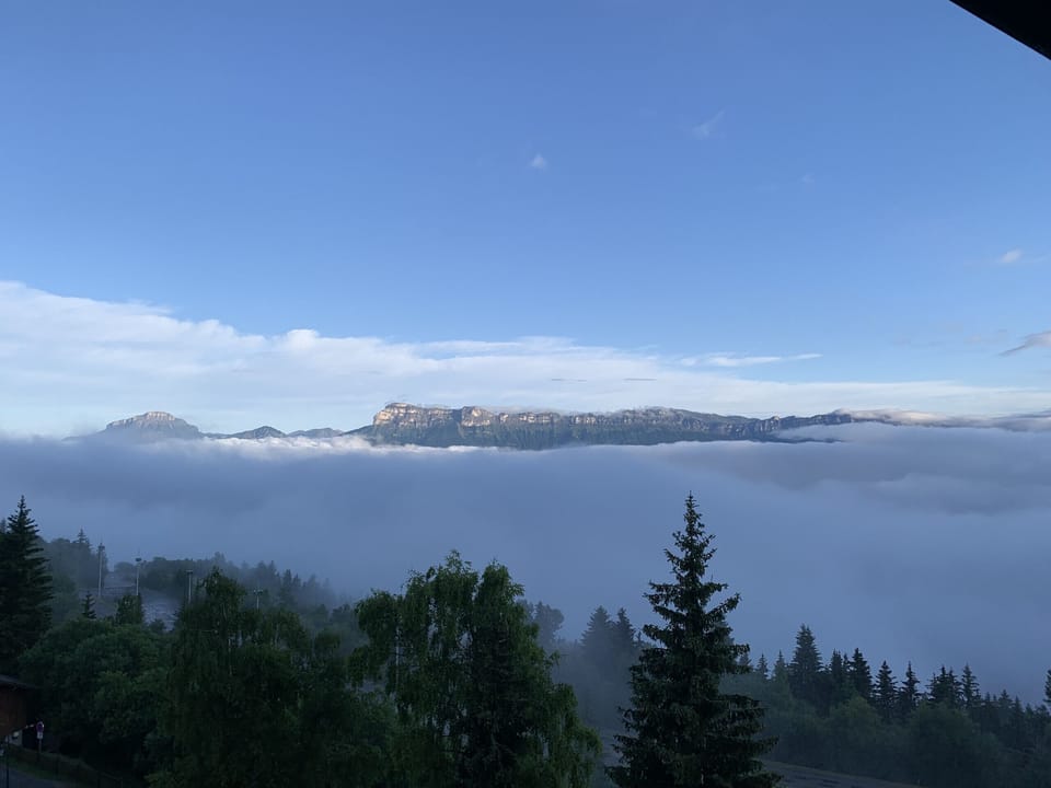 View from property